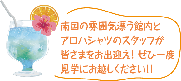 南国の雰囲気漂う館内とアロハシャツのスタッフか皆さまをお出迎え！ぜひ一度見学にお越しください！！